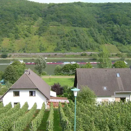 Moselblick Appartement Sankt Aldegund Buitenkant foto