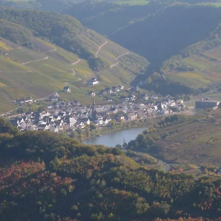 Moselblick Appartement Sankt Aldegund Buitenkant foto