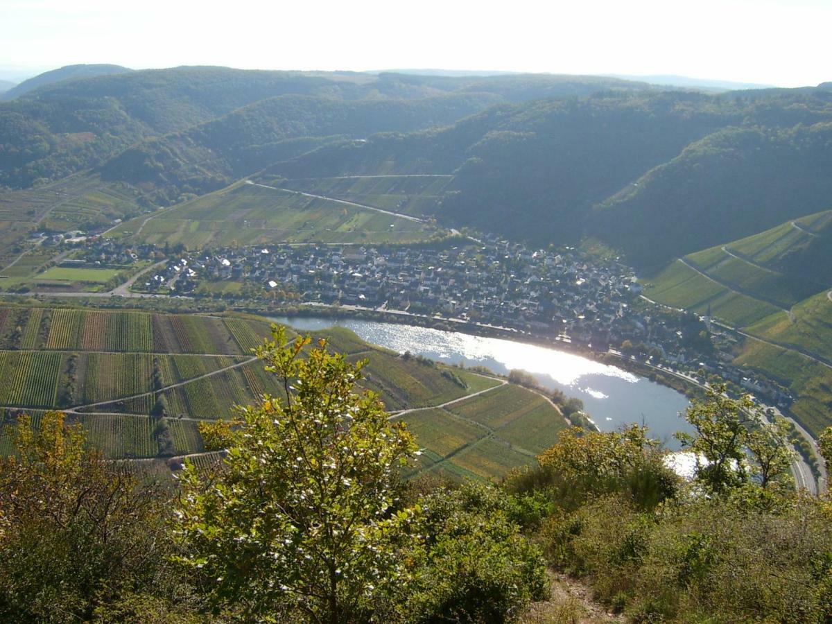 Moselblick Appartement *