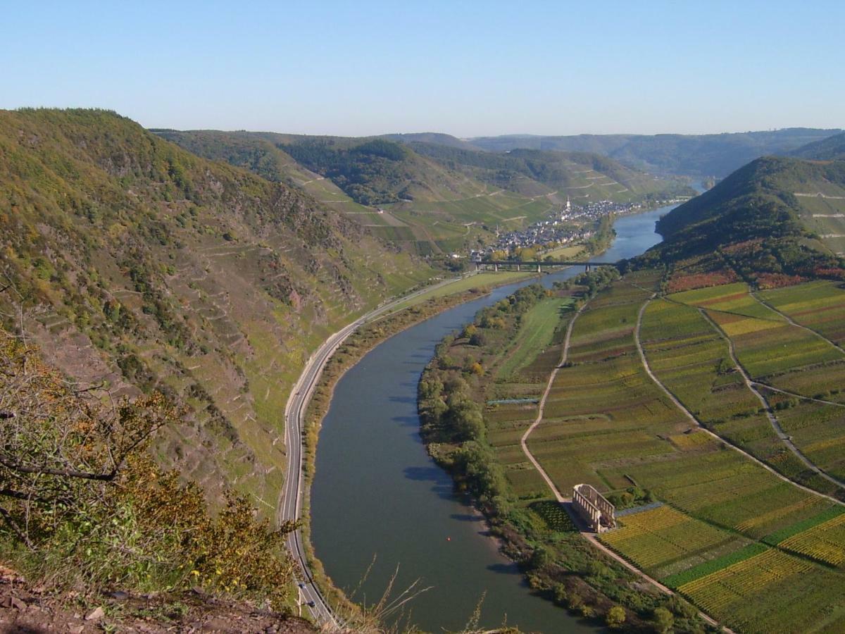 Moselblick Appartement Sankt Aldegund