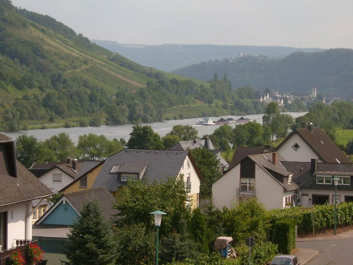 Moselblick Sankt Aldegund