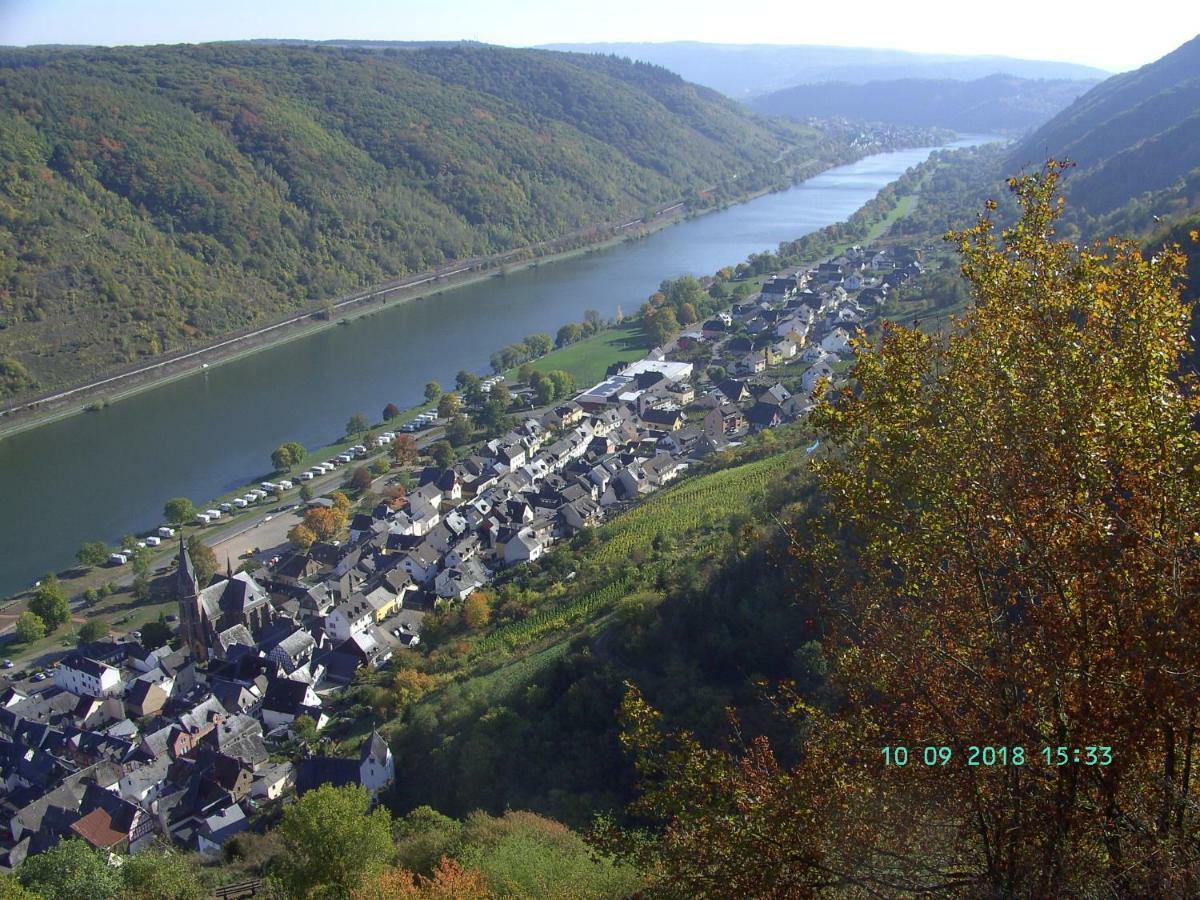 Moselblick Apartment Sankt Aldegund