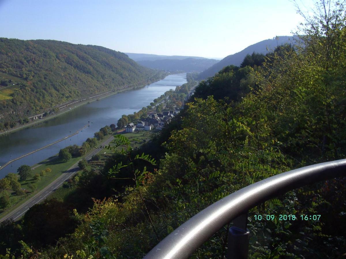 Moselblick