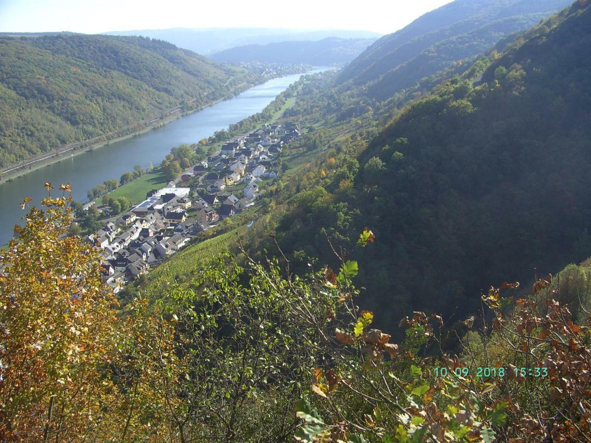 Appartement Moselblick Sankt Aldegund